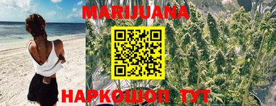 ешки Брянск